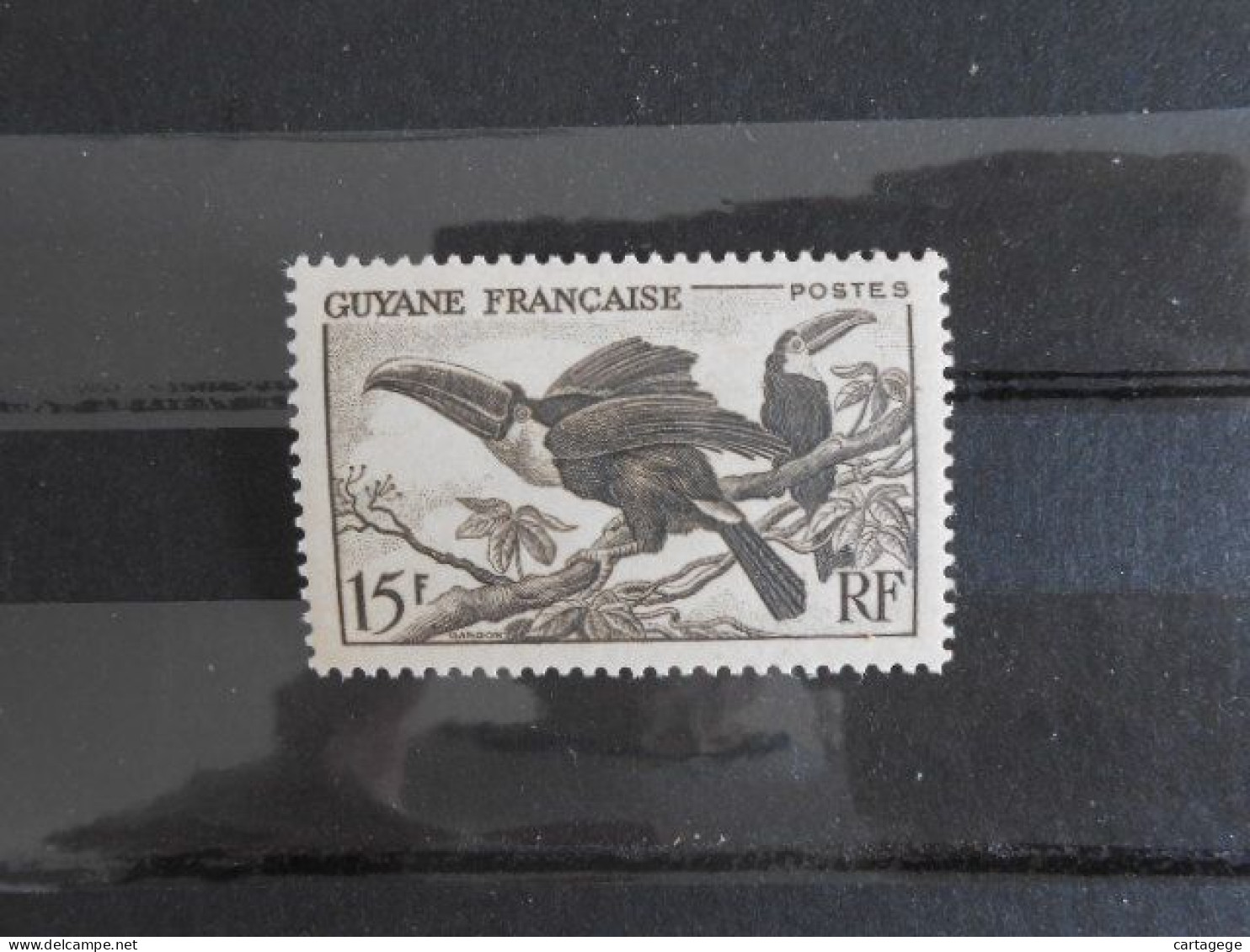 GUYANE YT 214 TOUCANS 15f Brun-noir* - Unused Stamps
