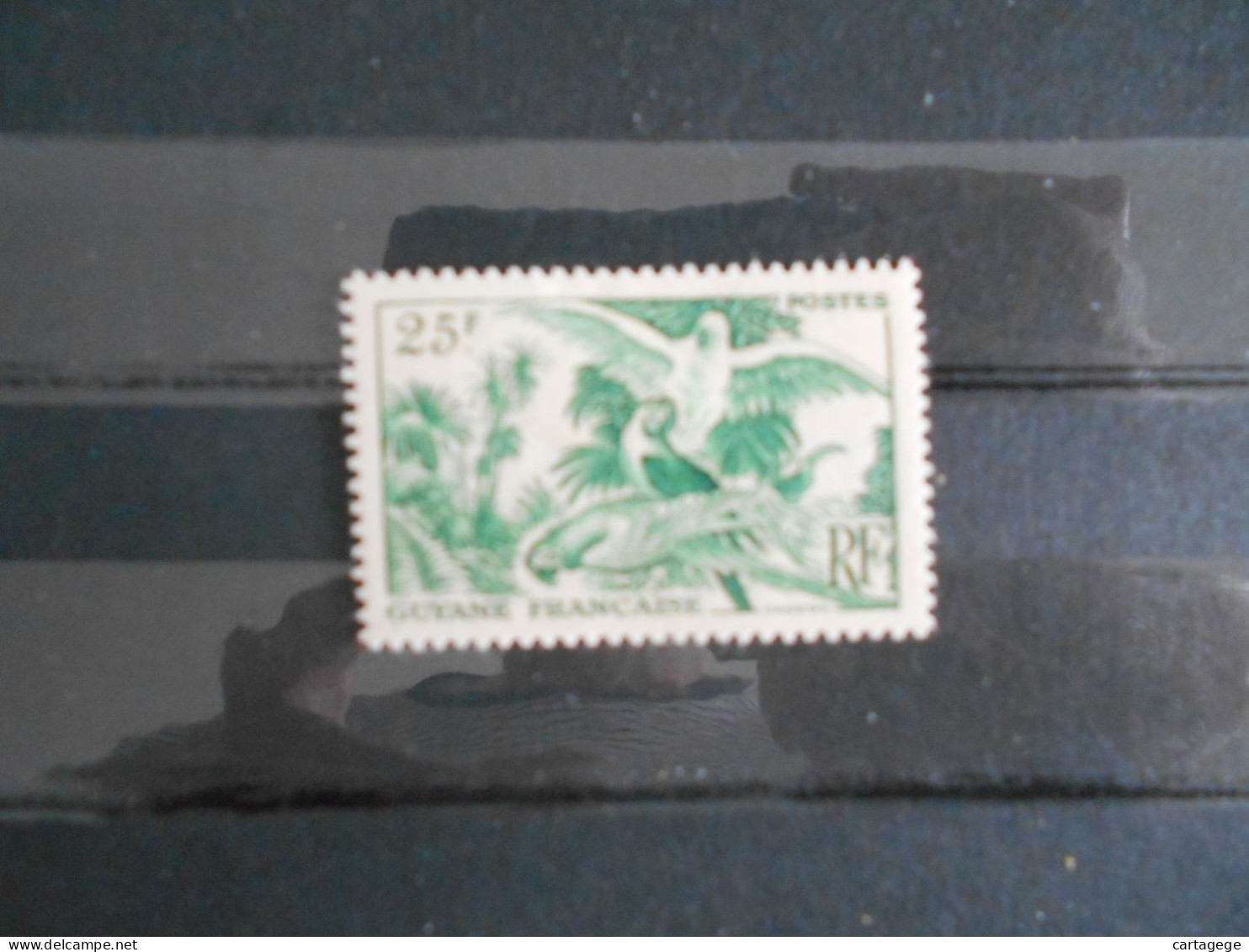 GUYANE YT 216 ARAS 25f Vert-jaune* - Unused Stamps