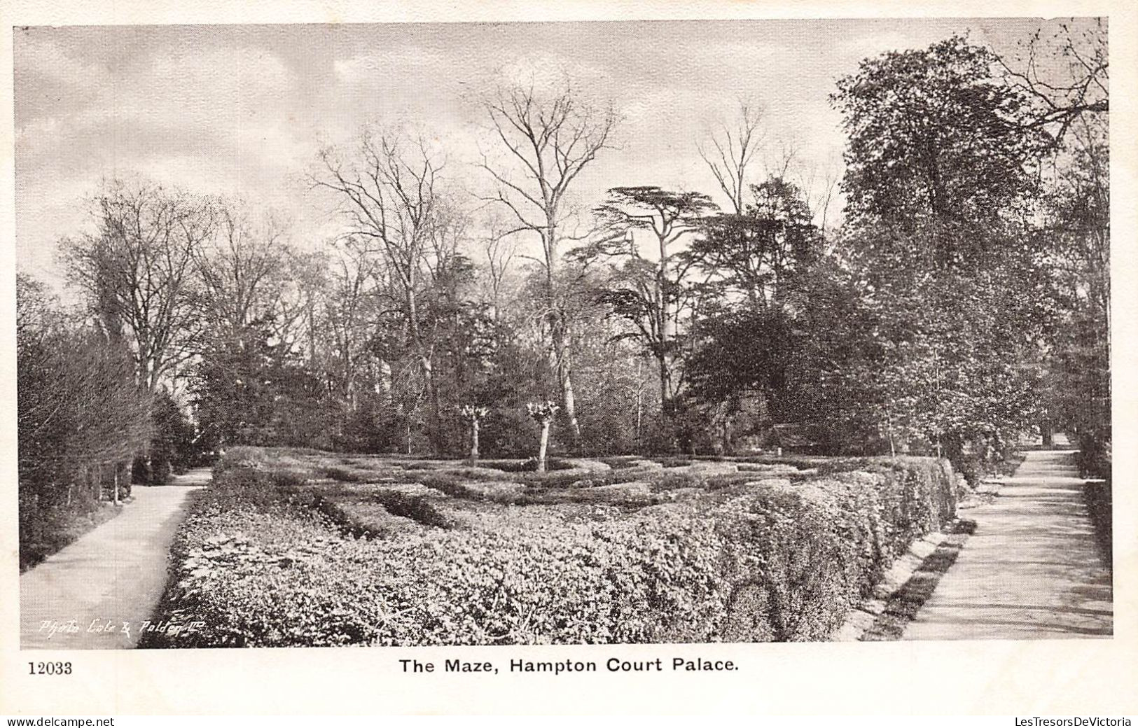 ROYAUME-UNI - Angleterre - London - Hampton Court Palace - The Maze - Carte Postale Ancienne - Hampton Court