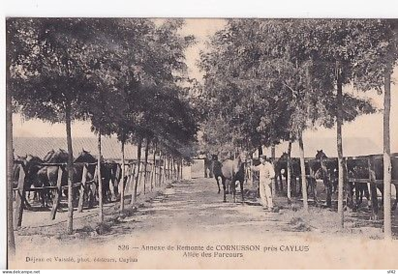 CORNUSSON       Annexe De Remonte. Allée Des Parcours - Other & Unclassified