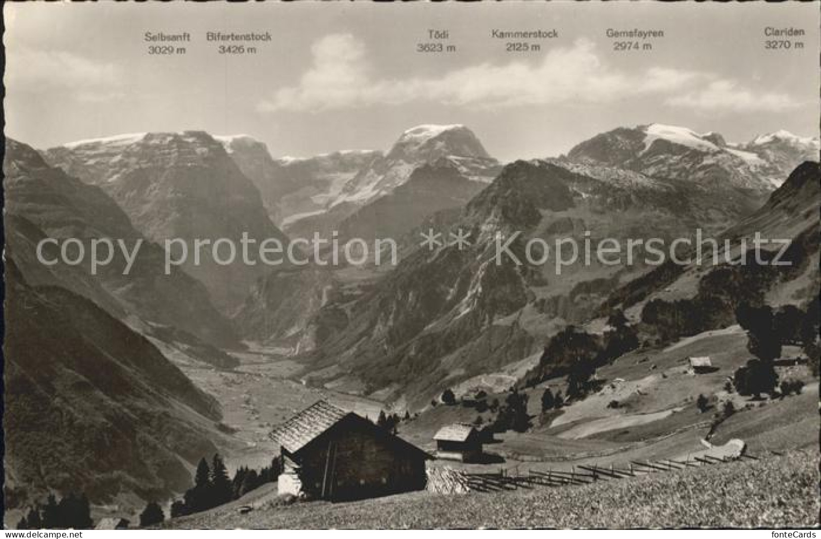 11653242 Braunwald GL Toedikette Von Rubschen Aus Braunwald - Autres & Non Classés