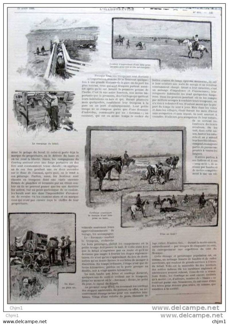 L&acute;élevage Du Bétail En Amérique  - Page Original 1888  ( 2 ) - Historical Documents