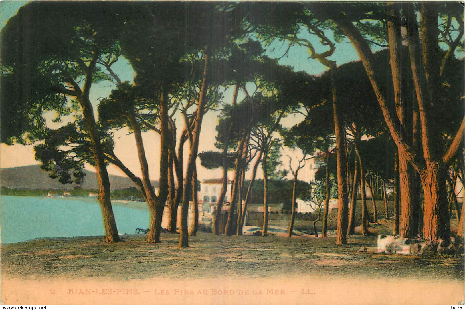 06 - JUAN LES PINS - LES PINS AU BORD DE LA MER -  CACHET CANNES VILLE DES FLEURS - LL - 2 - Sonstige & Ohne Zuordnung