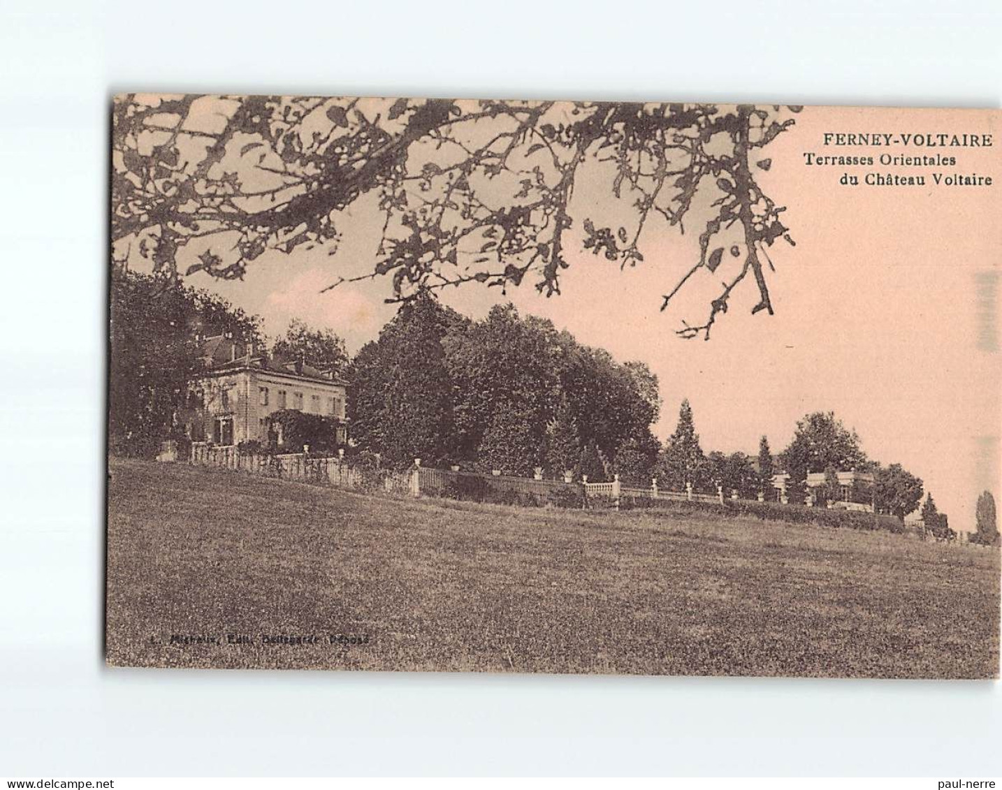 FERNEY VOLTAIRE : Terrasse Orientales Du Château Voltaire - Très Bon état - Ferney-Voltaire