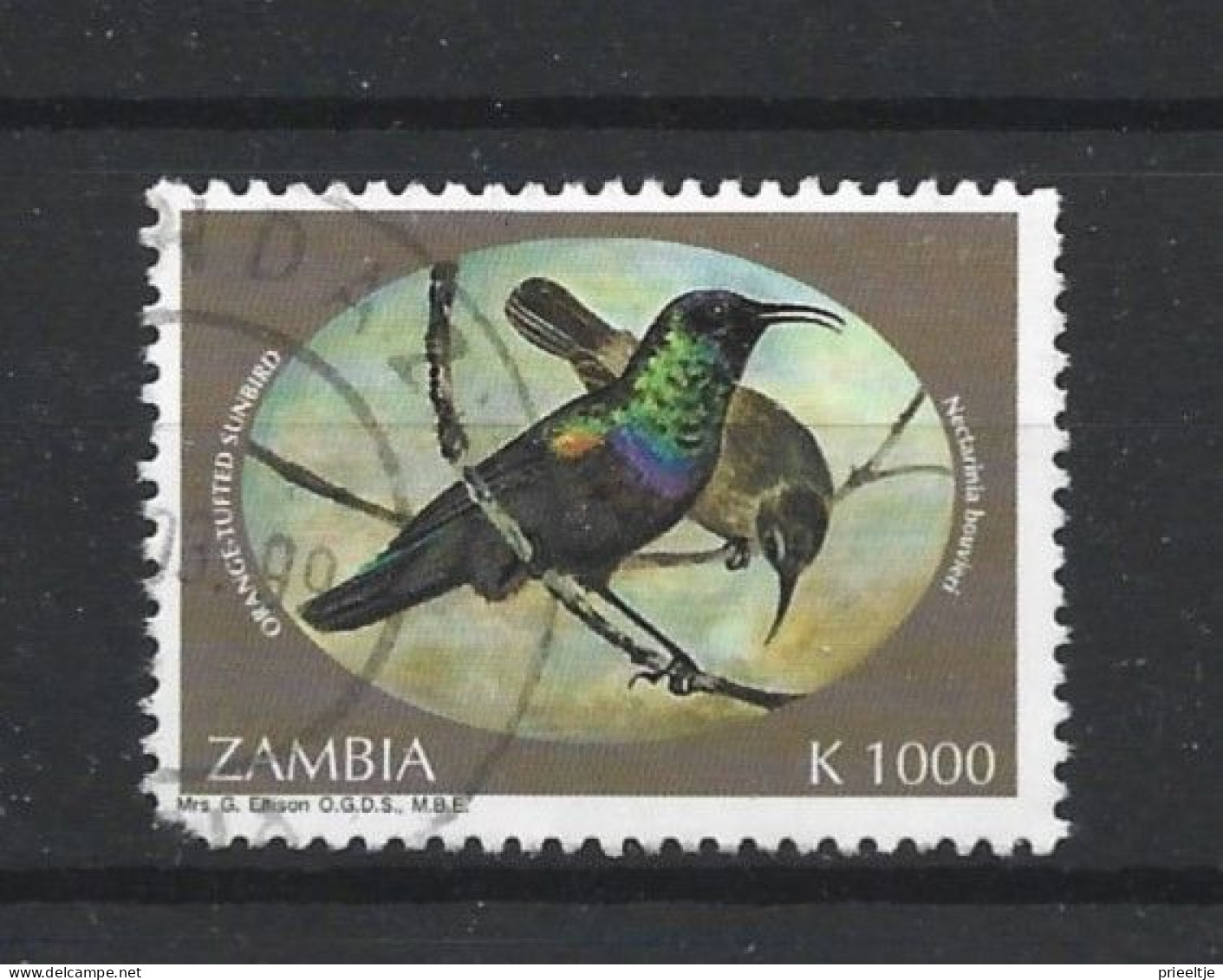 Zambia 1994 Birds Y.T. 593 (0) - Zambia (1965-...)