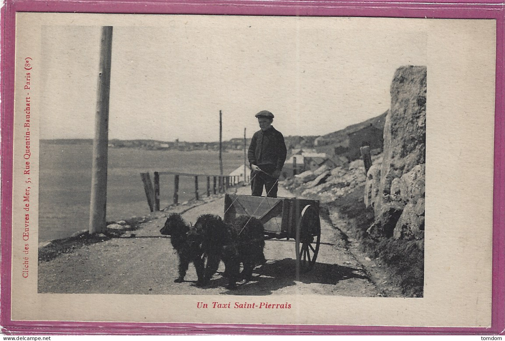 Saint Pierre Et Miquelon*** Un Taxi Saint-Pierrais (rare Taxi  Voiture à Chiens/ed.Oeuvres De Mer) - Saint-Pierre Und Miquelon