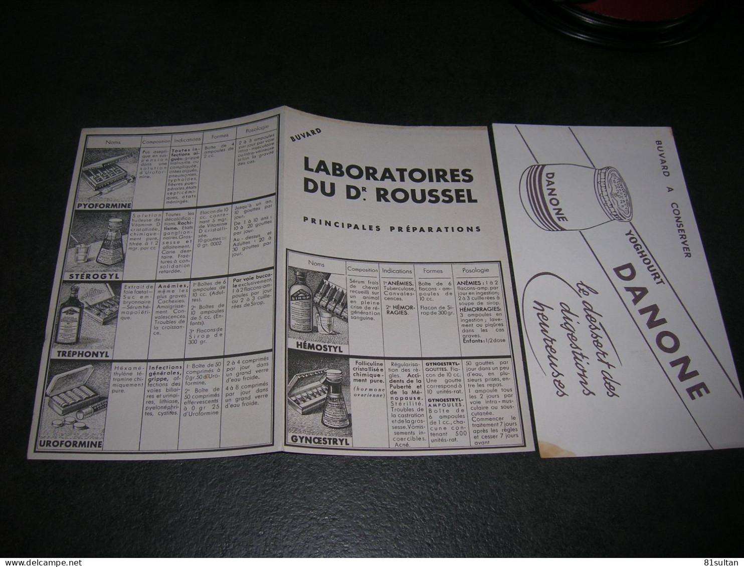 2 Buvard Yoghourt Danone Et Pharmacie Laboratoires Dr Roussel - Autres & Non Classés