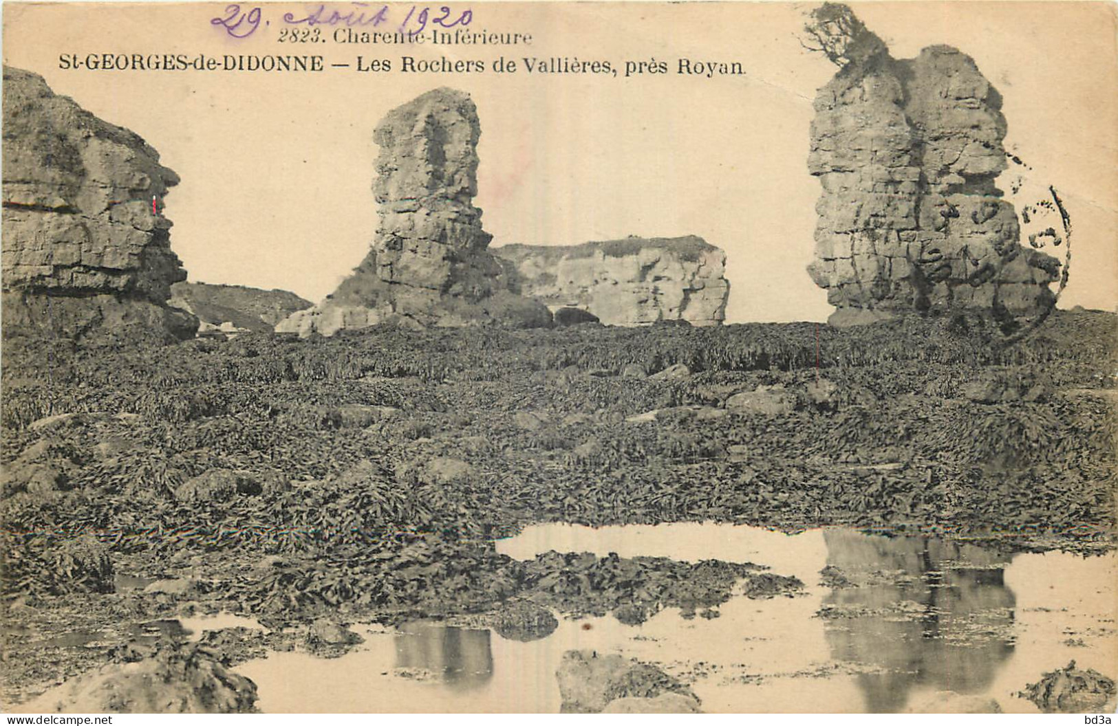 17 -   SAINT GEORGES DE DIDONNE - LES ROCHERS DE VALLIERES - Saint-Georges-de-Didonne