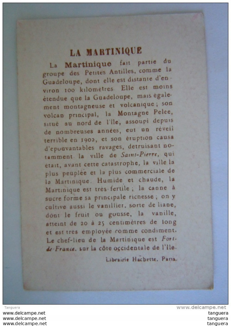 Chromo La Martinique Martiniquaise Vanillier Fort De Françe Librairie Hachette Paris - Otros & Sin Clasificación