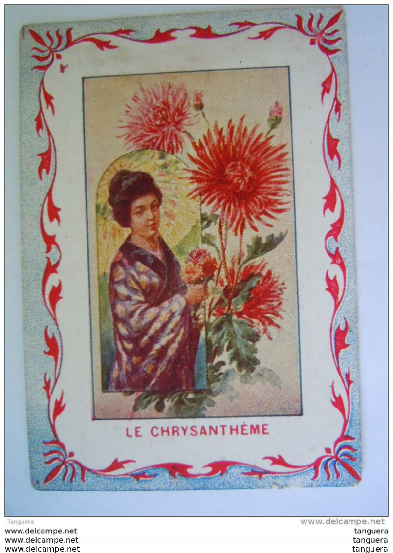 Chromo Fleurs Bloemen Le Chrysanthème Femme Du Japon Librairie Hachette Paris - Autres & Non Classés