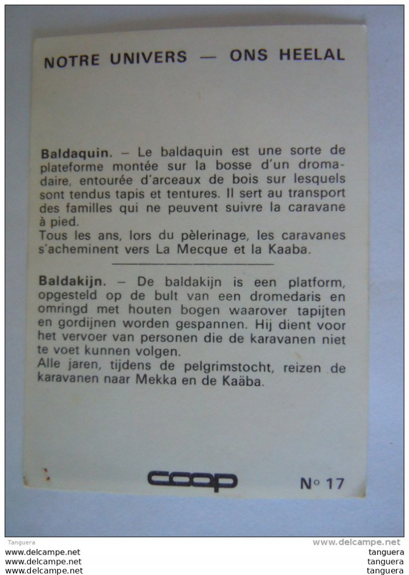 Chromo Chocolat Coop Notre Univers N° 17 Baldaquin Dromadaire Baldakijn Dromedaris - Autres & Non Classés