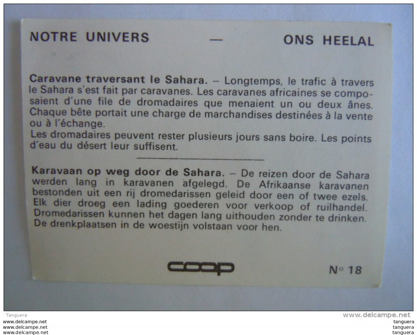 Chromo Chocolat Coop Notre Univers N° 18 Caravane Traversant Le Sahara Karavaan Op Weg Door De Sahara - Sonstige & Ohne Zuordnung