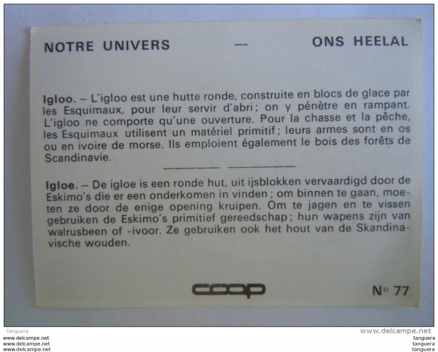 Chromo Chocolat Coop Notre Univers N° 77 Igloo Igloe Esquimau Eskimo - Andere & Zonder Classificatie