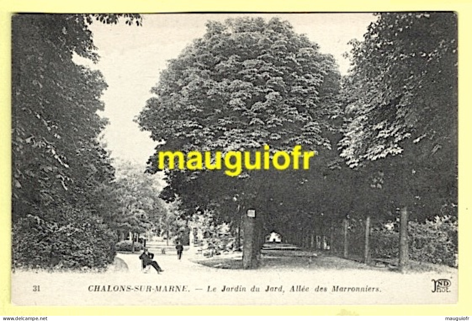 51 MARNE / CHÂLONS-SUR-MARNE / LE JARDIN DU JARD, ALLÉE DES MARRONNIERS - Châlons-sur-Marne