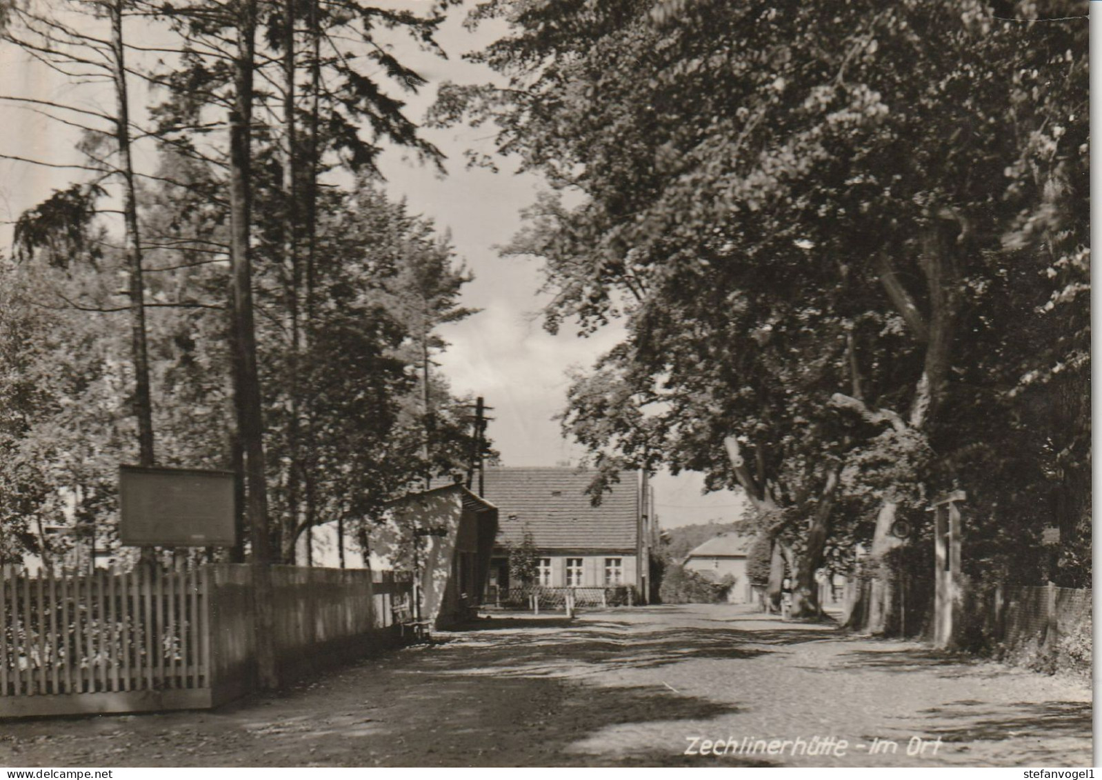 Zechlinerhütte  1968  Im Ort - Zechlinerhütte