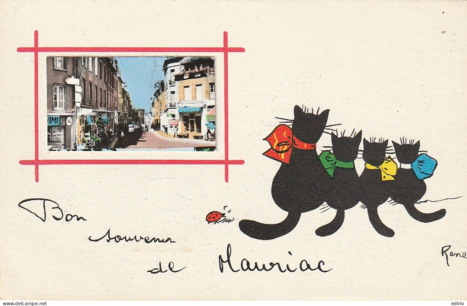  ***  CHATS *** CHATTS CHATONS  --  René --- Bon Souvenir De Mauriac -- TTB Neuve - Mauriac