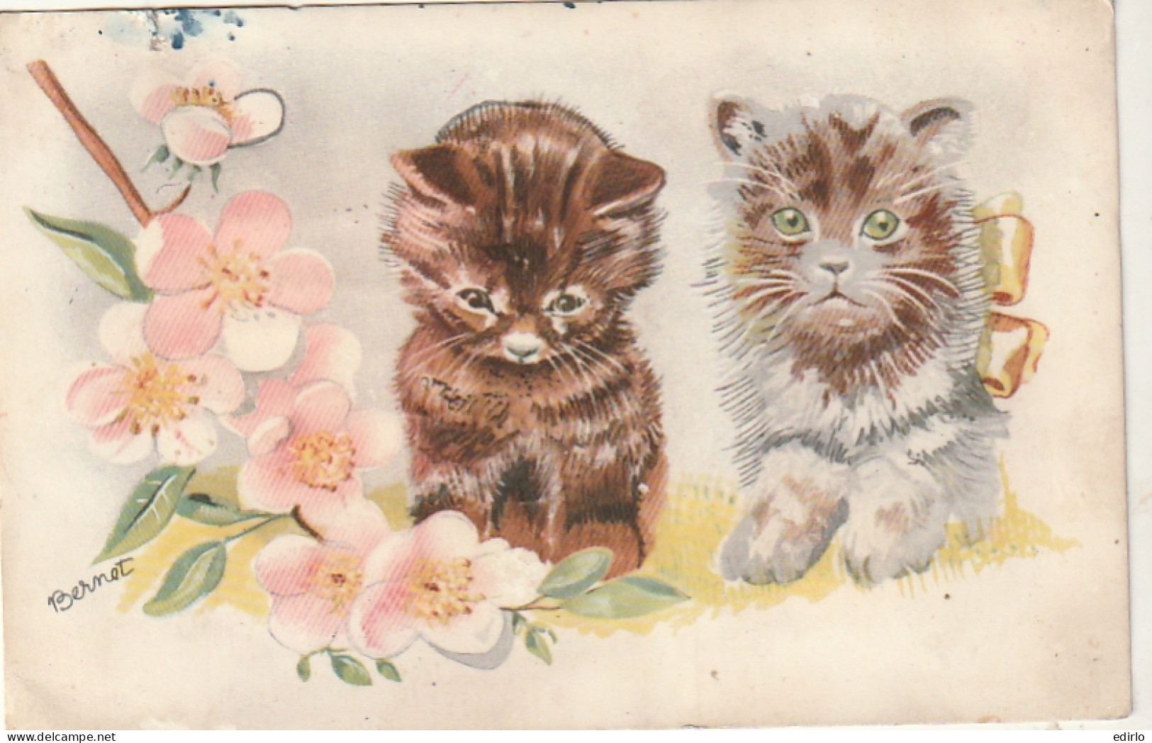  ***  CHATS *** CHATTS CHATONS  --  Par Illustrateur  BERNET  -- Chatons Ett Fleurs DU PAPIER COLLE Au Dos  - Cats