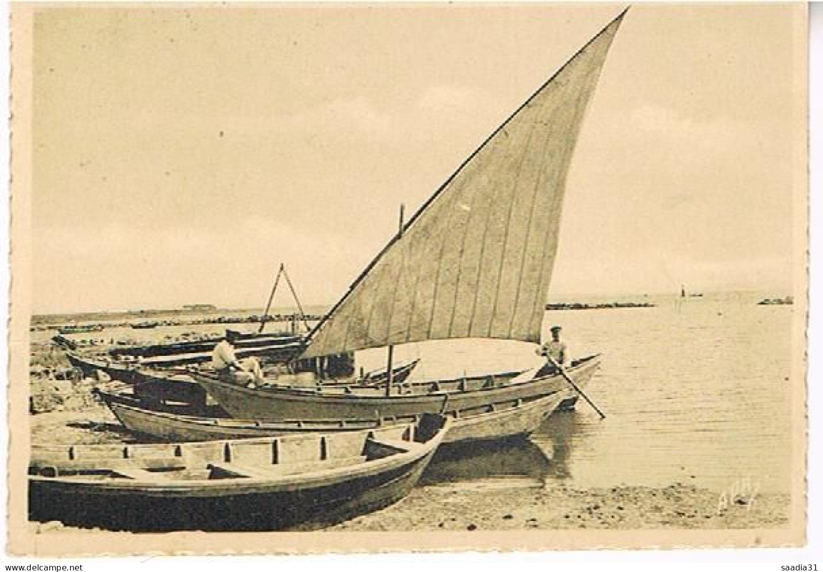 34  MARSEILLAN PLAGE  LE PORT DE PECHE  1951 - Marseillan