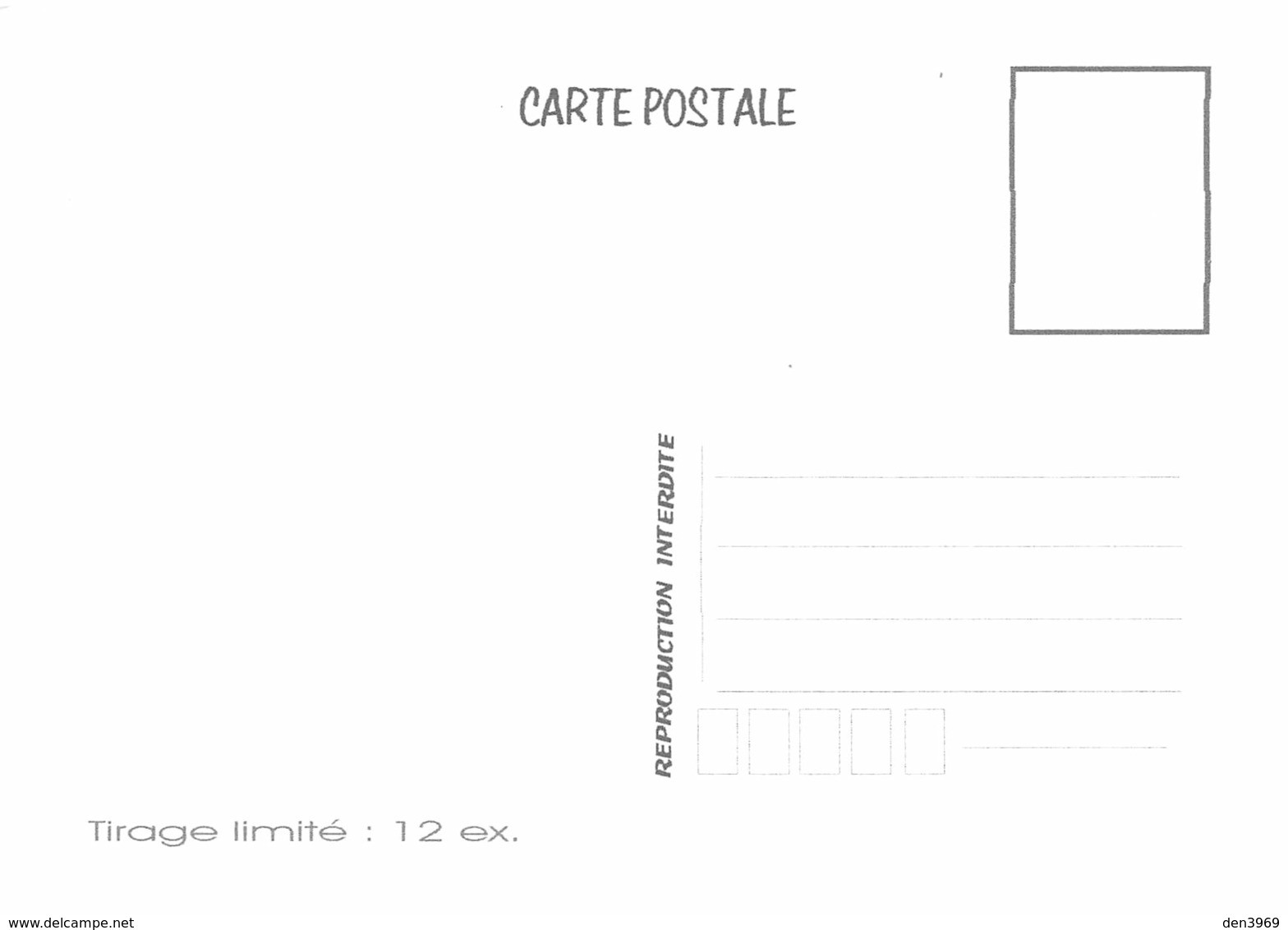 Papillons - Le MACHAON - Tirage Limité 12 Ex - Farfalle