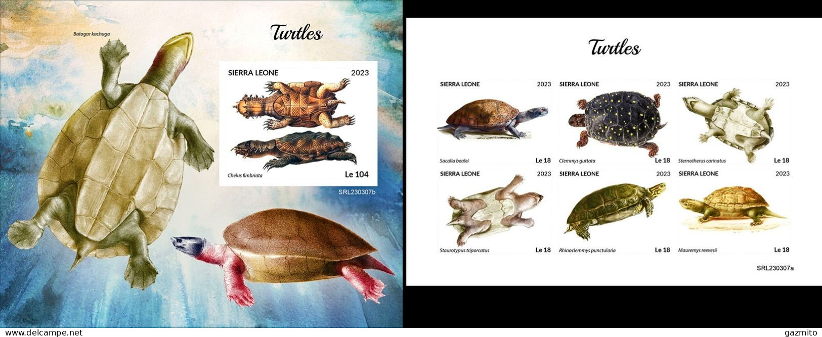 Sierra Leone 2023, Animals, Turtle, 6val In BF +BF IMPERFORATED - Schildkröten