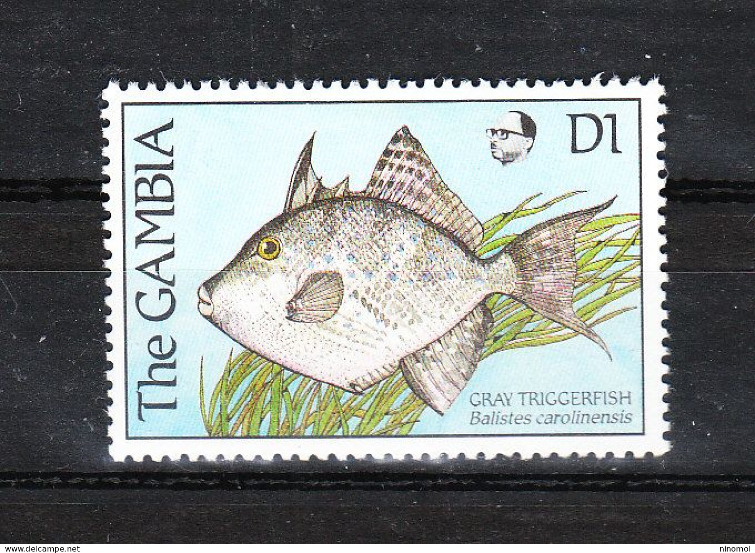 Gambia  - 1989.Pesce Balestra. Balista Trigger. MNH - Poissons