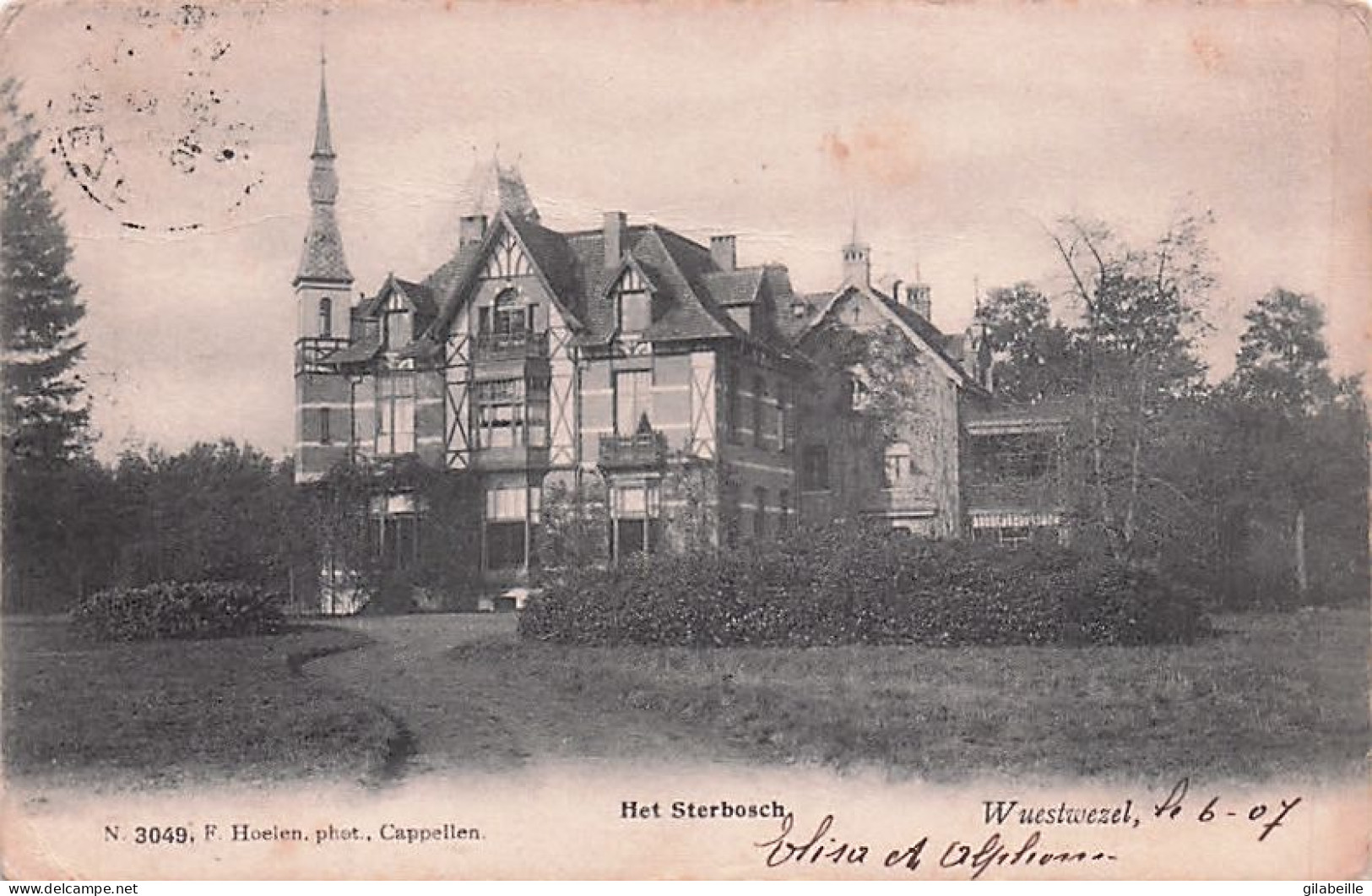 WUUSTWEZEL -  Het Sterbosch - 1907 - Wuustwezel