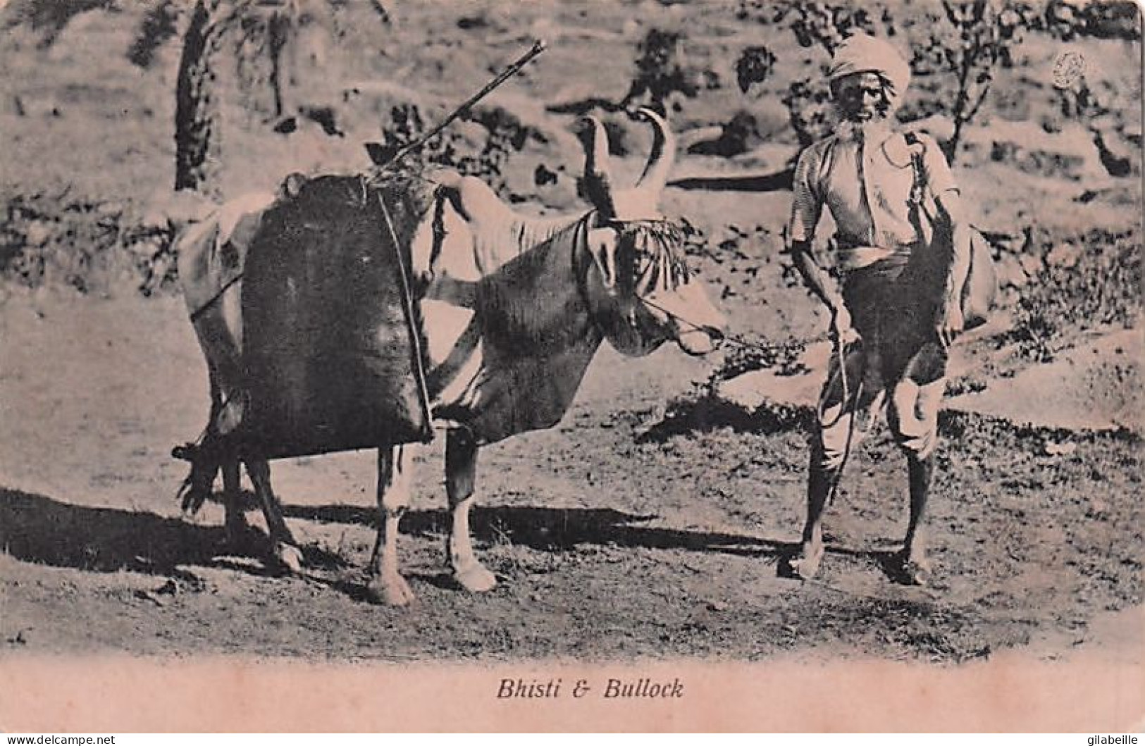 India - Bhisti Et Bullock - Inde