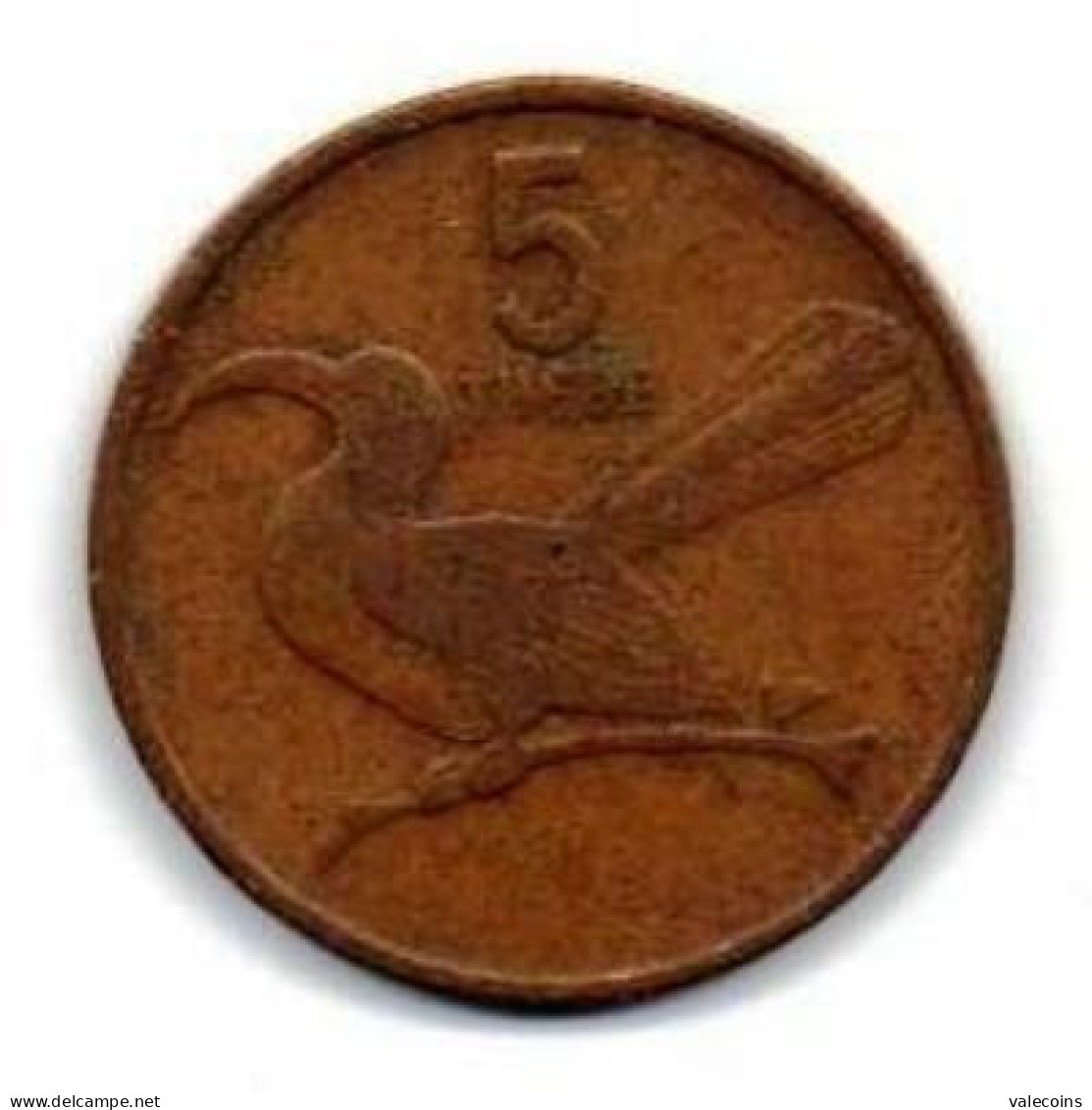 BOTSWANA - 1981 - 5 Thebe - KM 4 - Circulated Coin - Bird Uccello - Tockus Erythrorhynchus - Botswana