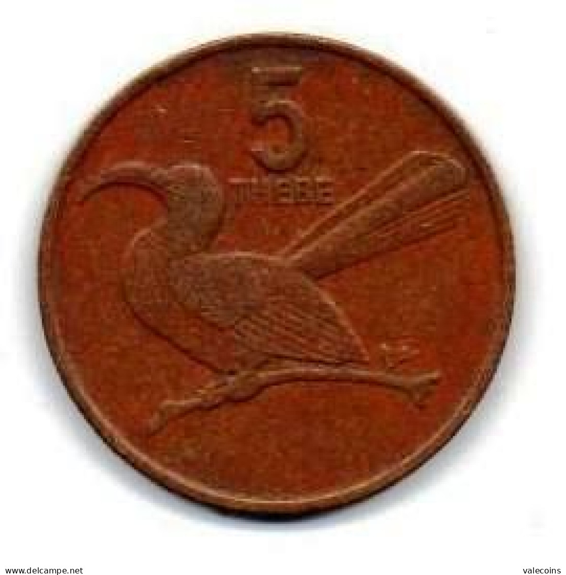 BOTSWANA - 1989 - 5 Thebe - KM 4 - Circulated Coin - Bird Uccello - Tockus Erythrorhynchus - Botswana