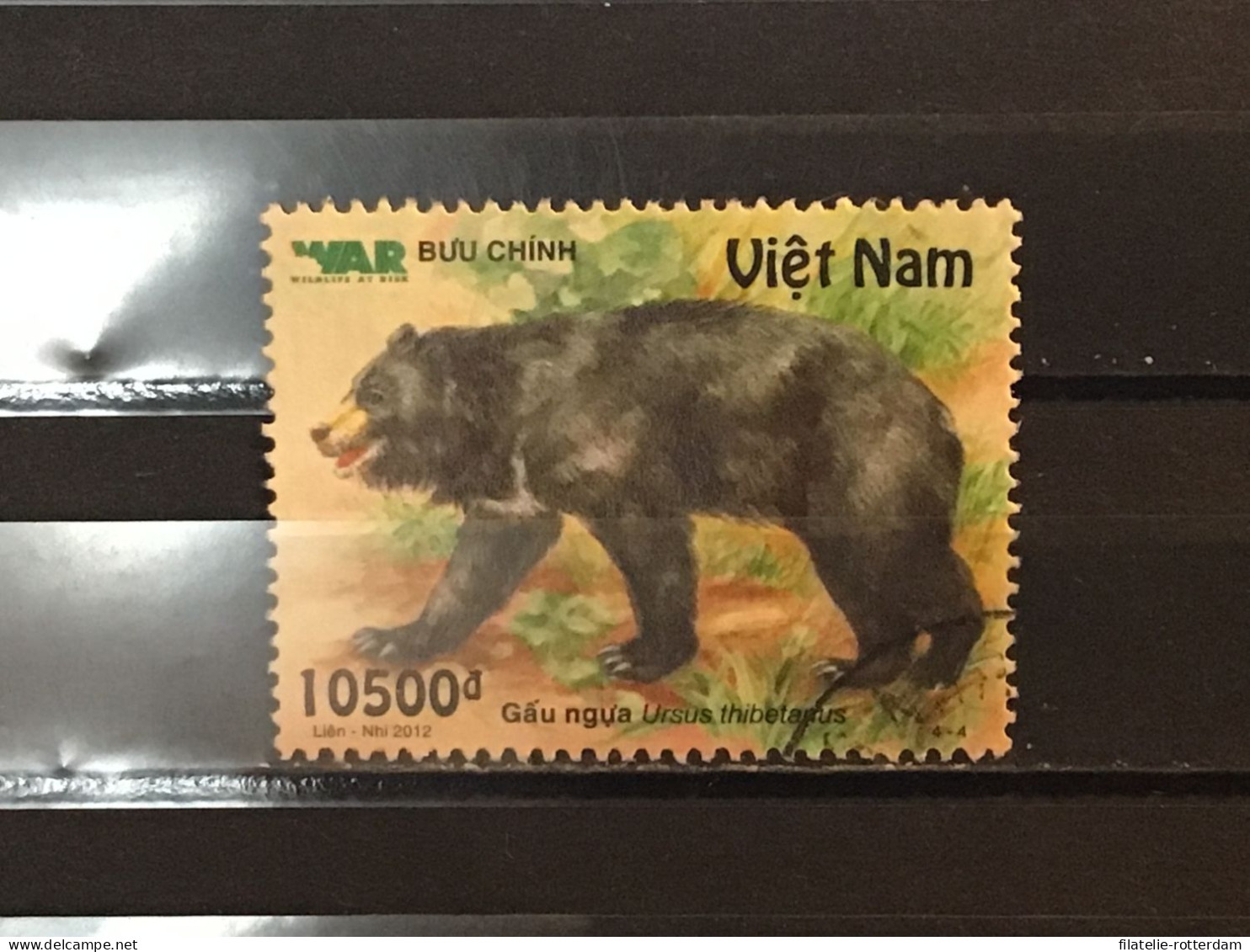 Vietnam - Bears (10500) 2012 - Vietnam