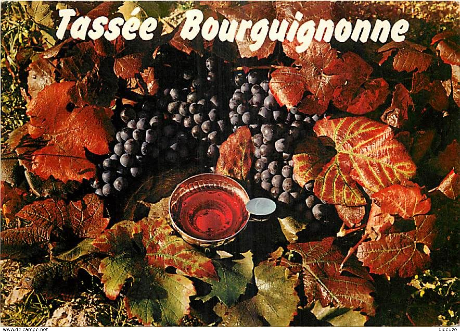 Vignes - Tassée Bourguignonne - CPM - Voir Scans Recto-Verso - Vines