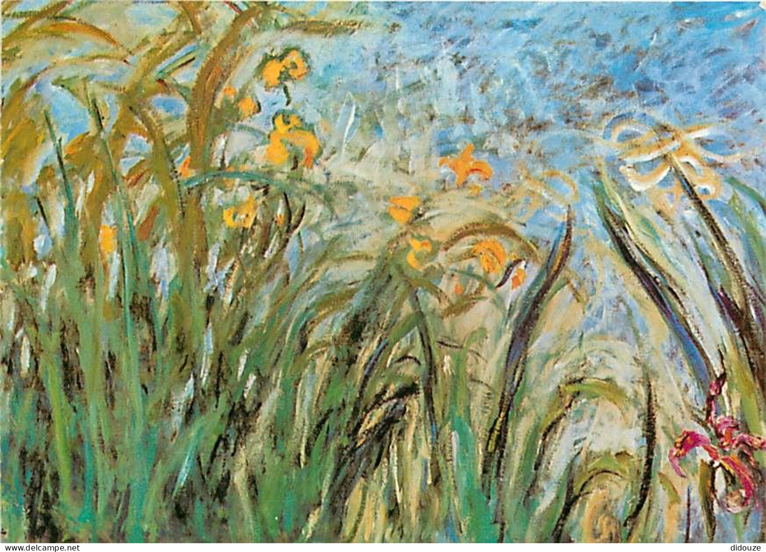 Art - Peinture - Claude Monet - Irises At Gvemy, C. 1920 - Carte Neuve - CPM - Voir Scans Recto-Verso - Peintures & Tableaux