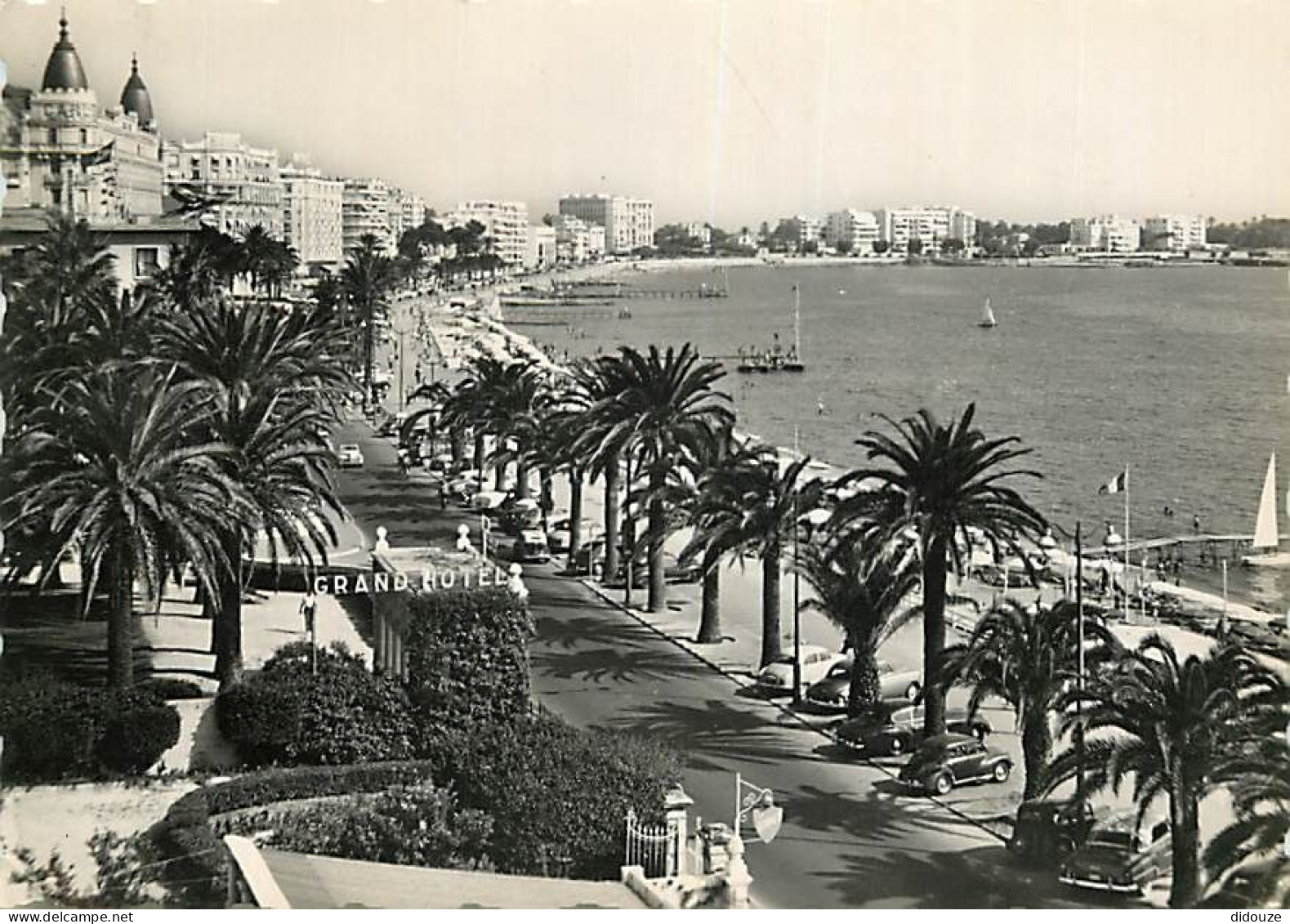 06 - Cannes - La Croisette - Les Hotels - Automobiles - Carte Dentelée - CPSM Grand Format - Voir Scans Recto-Verso - Cannes