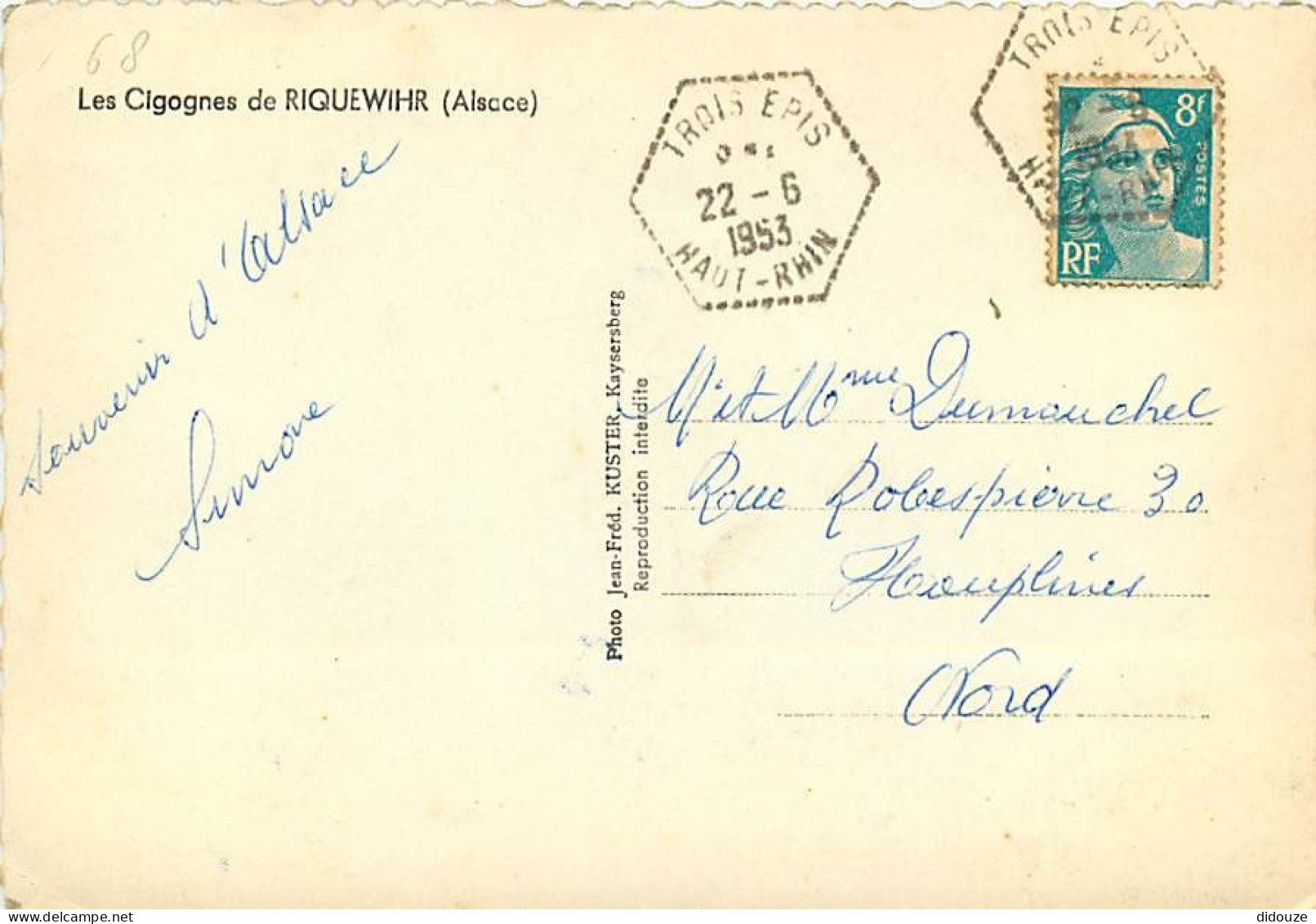 68 - Riquewihr - Les Cigognes - Oblitération Hexagonale De Trois Epis - CPSM Grand Format - Voir Scans Recto-Verso - Riquewihr