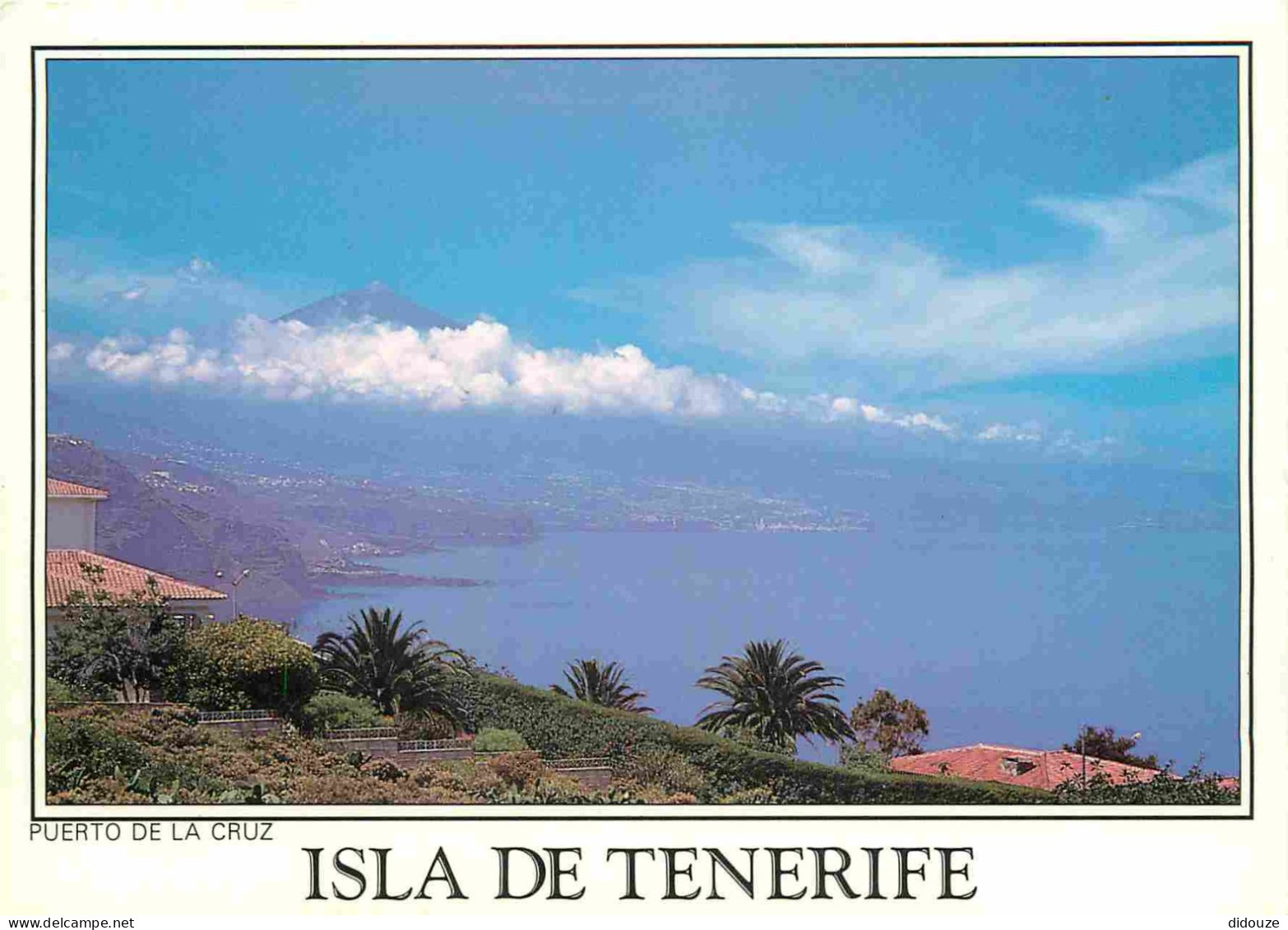 Espagne - Espana - Islas Canarias - Tenerife - El Teide Y Puerto De La Cruz - CPM - Voir Scans Recto-Verso - Tenerife