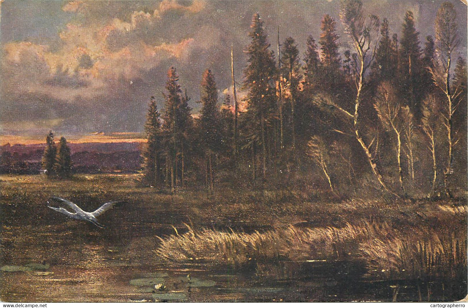 Scenic Postcard England Lake Forest Scene Birds - Sonstige & Ohne Zuordnung