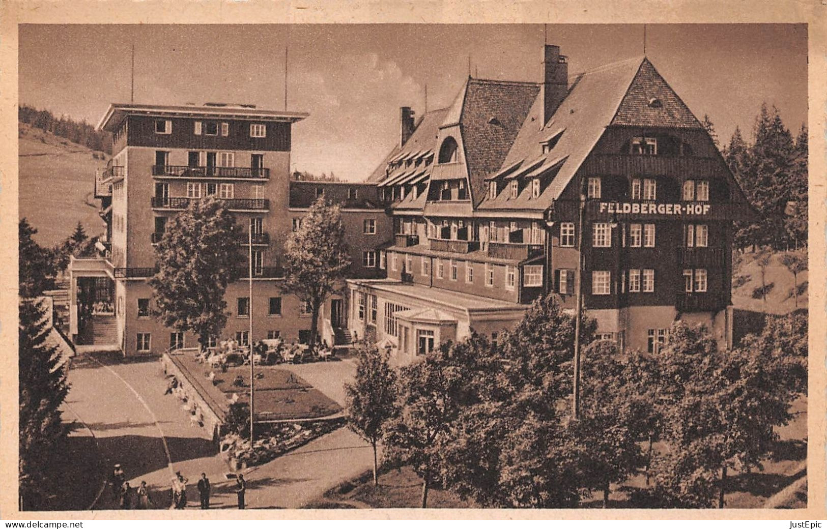 Allemagne>>Bade-Wurtemberg>>Feldberg ◙  Hotel Feldbergerhof Cpsm - Feldberg