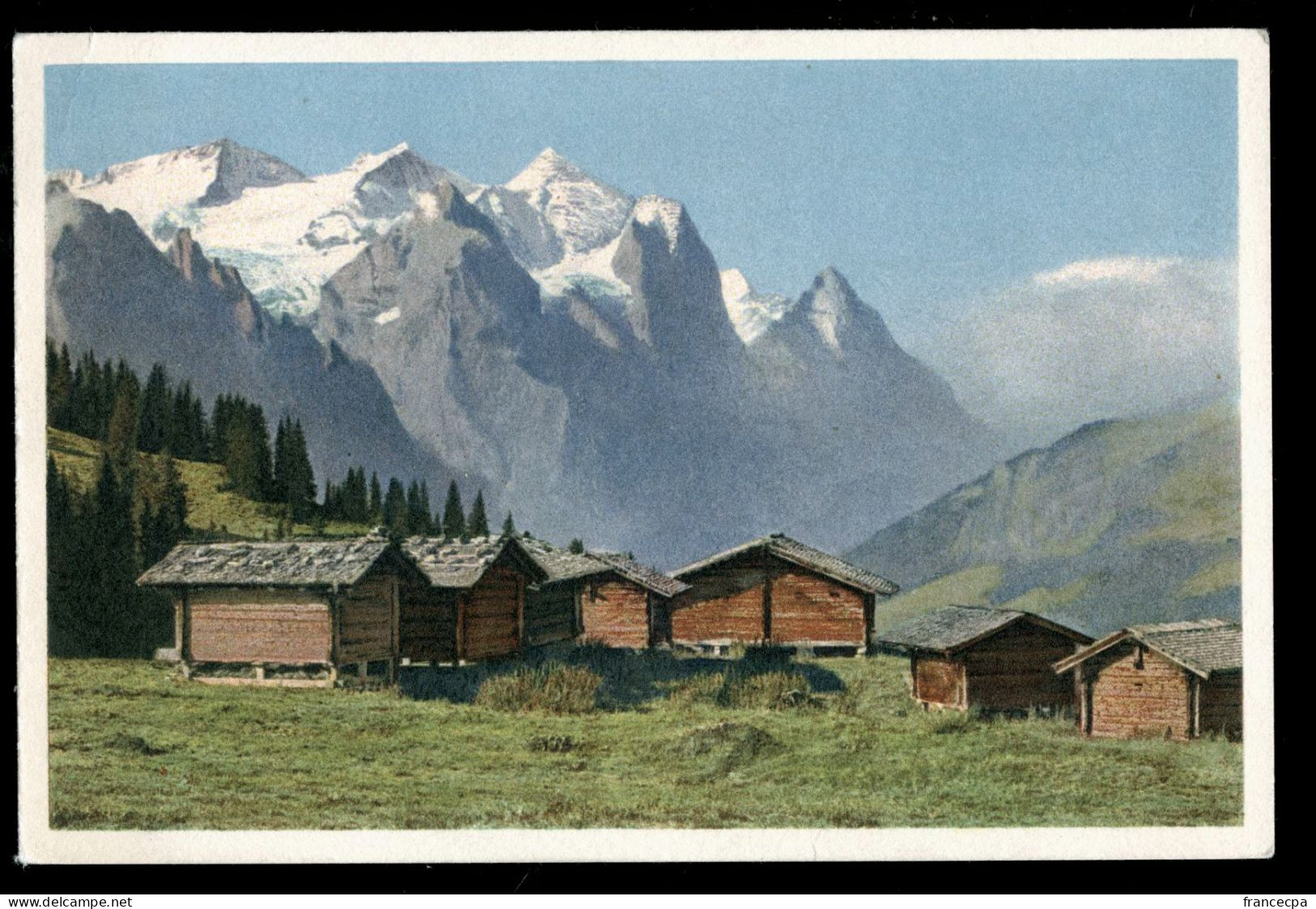 14934 - SUISSE -  Magisalpe. Brüning-Hasliberg. - Hasliberg