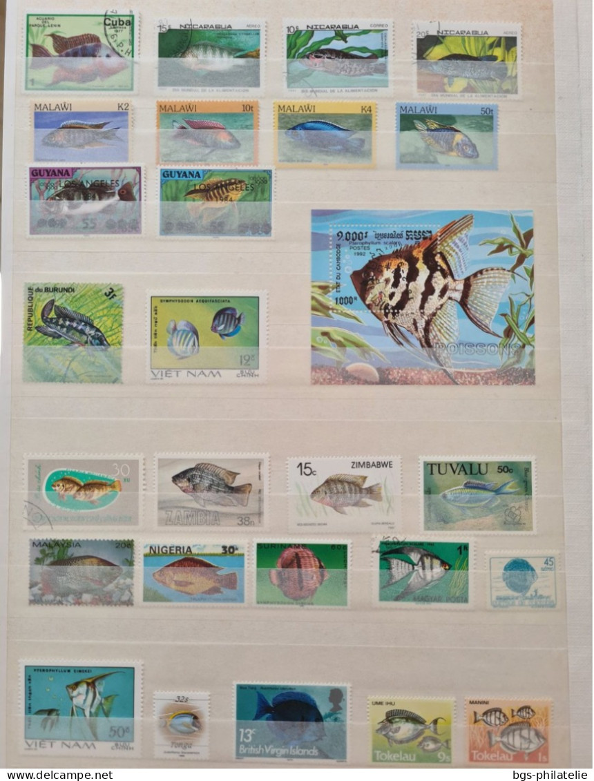 Collection de timbres sur le thème des Poissons.