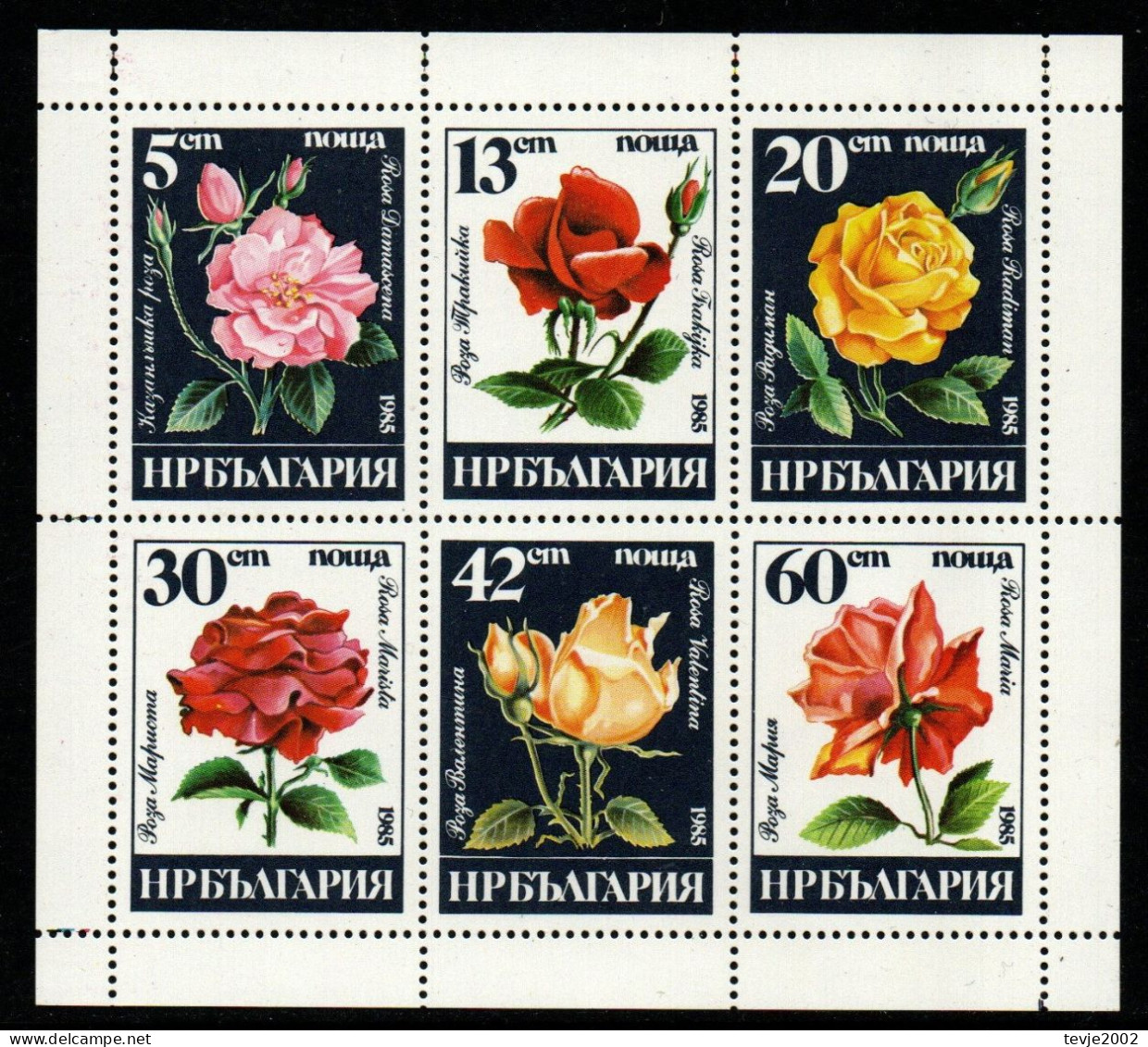 Bulgarien 1985 - Mi.Nr. 3373 - 3378 Kleinbogen - Postfrisch MNH - Blumen Flowers Rosen Roses - Rozen