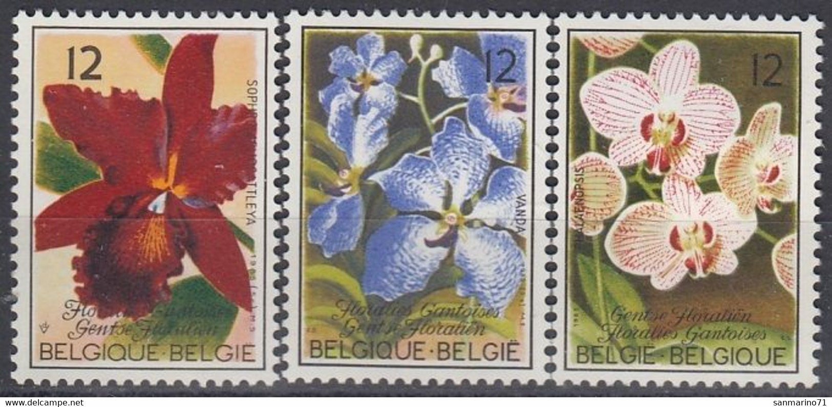 BELGIUM 2215-2217,unused - Andere & Zonder Classificatie