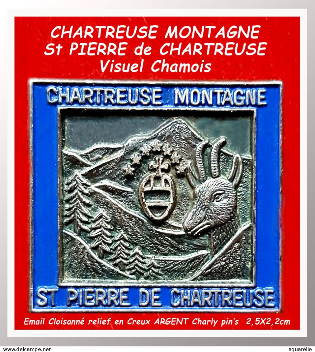 SUPER PIN'S "VILLE-REGION -St PIERRE De CHARTREUSE En MONTAGNE En EMAIL Cloisonné En CREUX Base ARGENT 2,5X2,2cm - Città