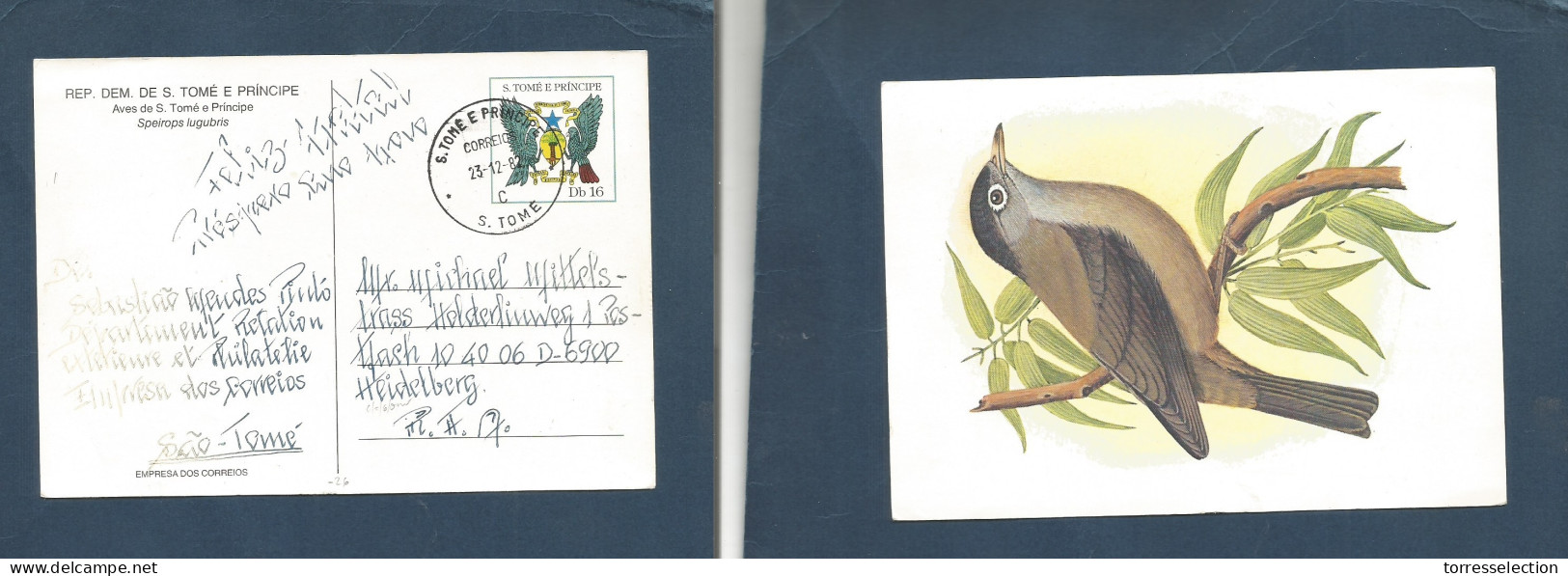 PORTUGAL-ST.THOME E PRINCIPE. 1882 (23 Dec) S. Thome - Heldelberg. RFA West Germany. Color Illustr Stationary Card. Bird - Autres & Non Classés