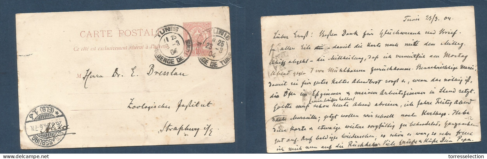 TUNISIA. 1904 (23 March) GPO - Strassburg, Germany (26 March) Cds Error Date TUNIS Again 28.3.04. Fine 10c Red Stat Card - Tunisia