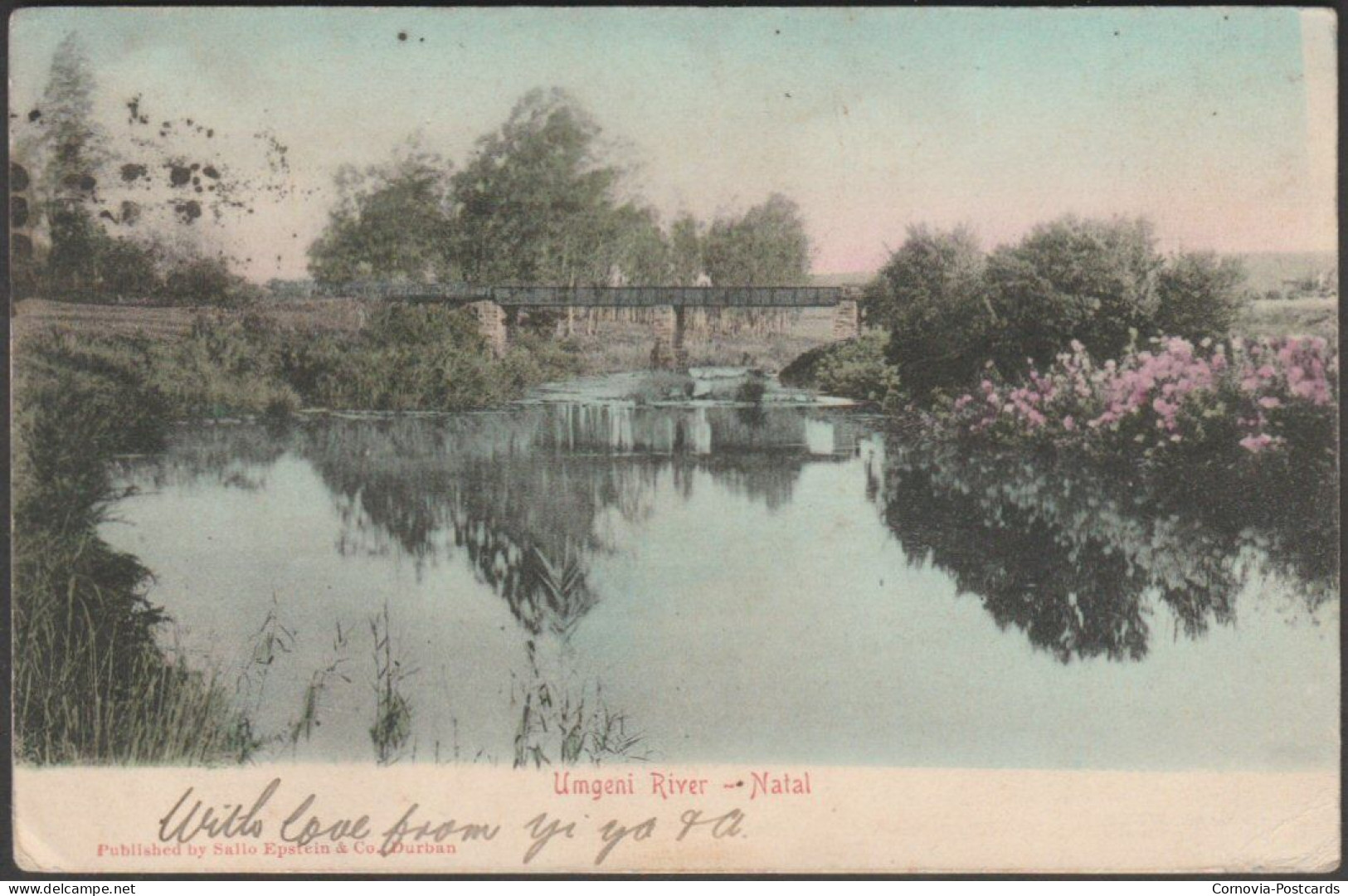 Umgeni River, Natal, 1905 - Sallo Epstein Postcard - South Africa