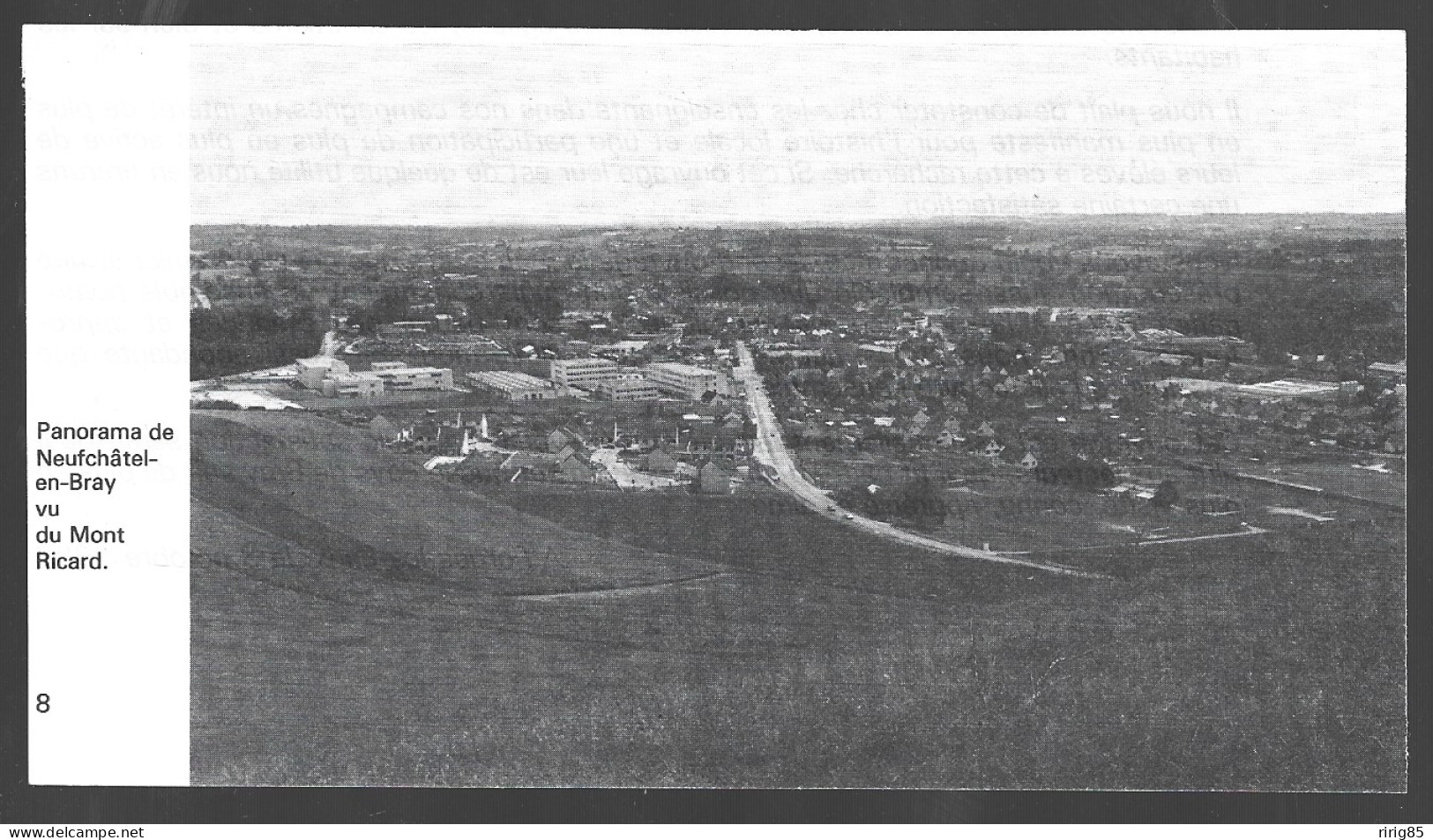 1982  --  PANORAMA DE NEUFCHATEL EN BRAY VU DU MONT RICARD . 4B101 - Non Classés