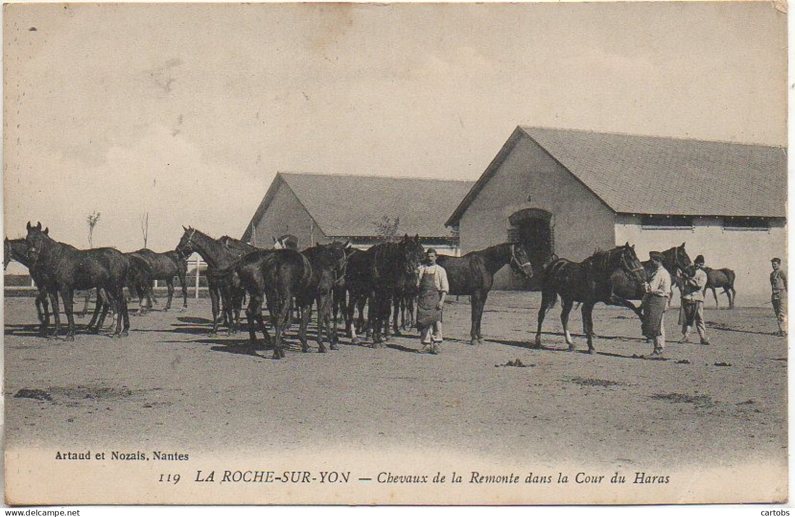 85 LA ROCHE-sur-YON  - Chevaux De La Remonte Dans La Cour Du Haras (carte Pas Courante) - La Roche Sur Yon