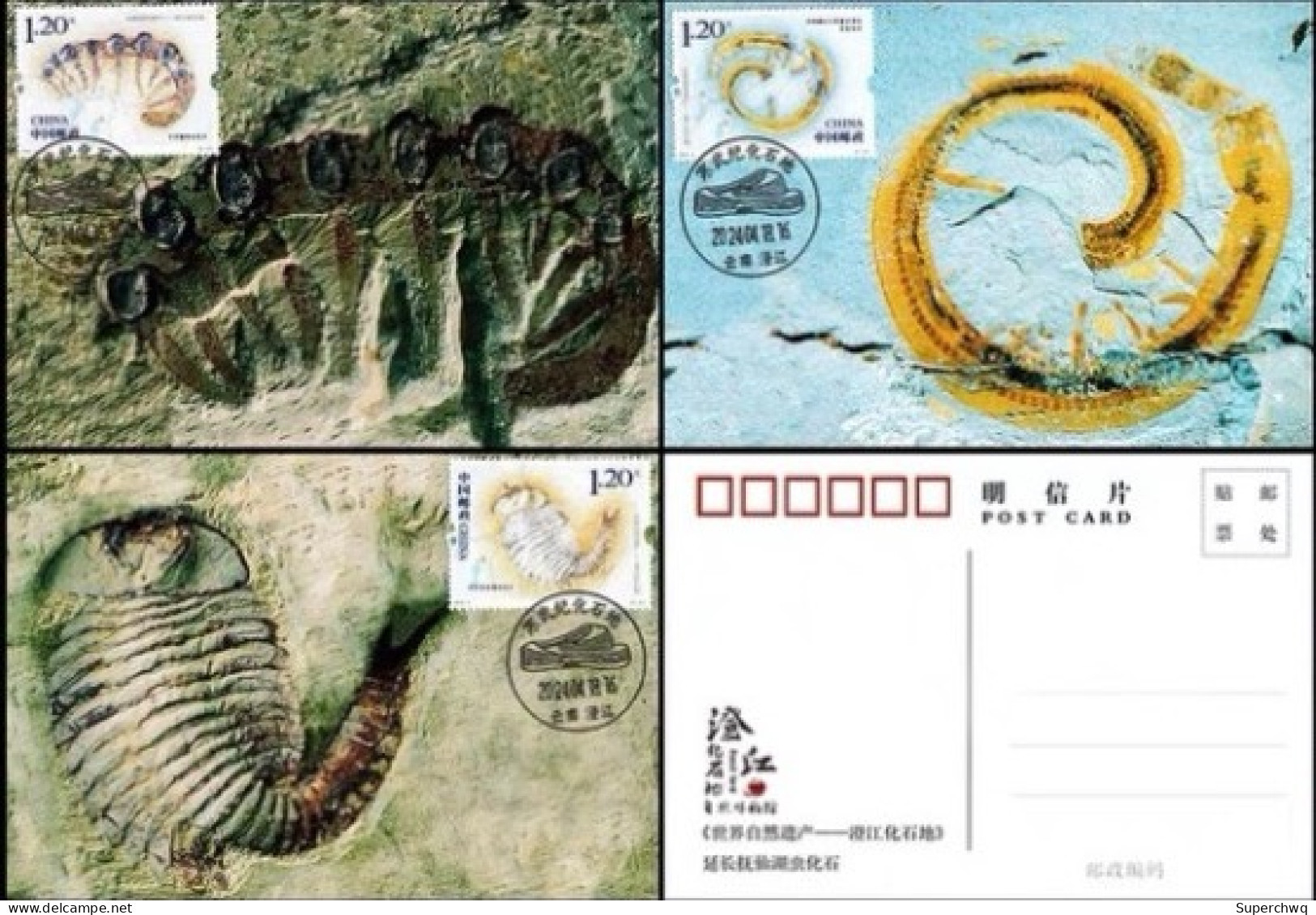 China Maximum Card 2024-4 World Natural Heritage Site - Chengjiang Fossil Site - Maximumkarten