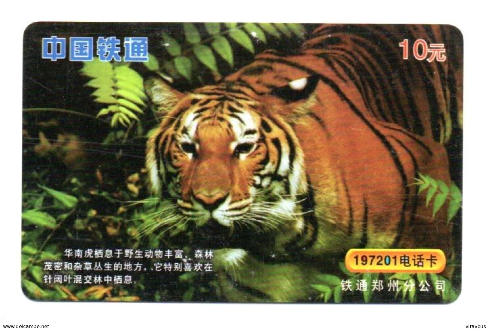 Tigre  Jungle Animal  Télécarte  Phonecard  Karte (K 339) - Cina