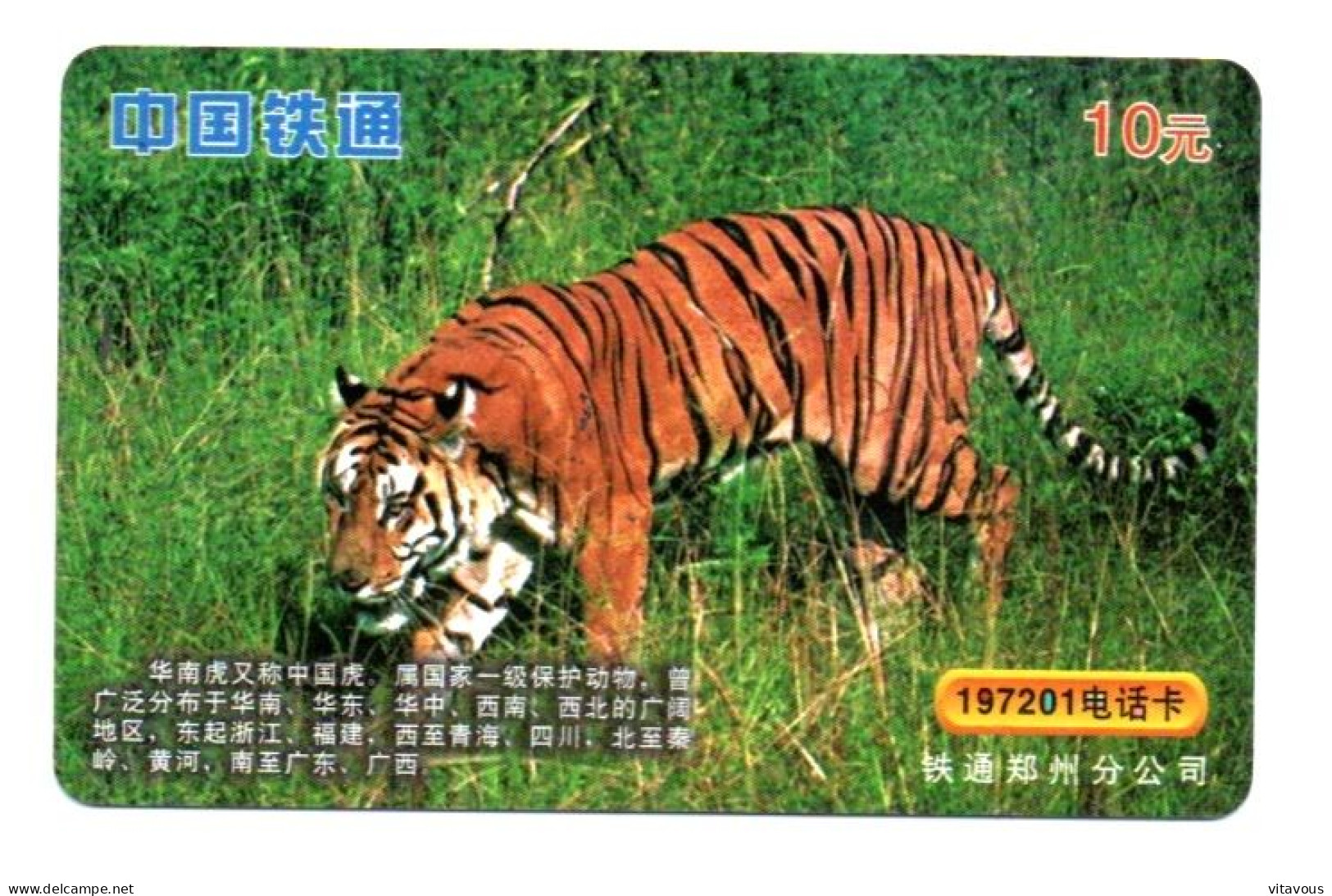 Tigre  Jungle Animal  Télécarte  Phonecard  Karte (K 341) - Chine